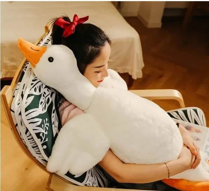 Ile kosztuje pluszowa gęś? Ceny, które mogą Cię zaskoczyć